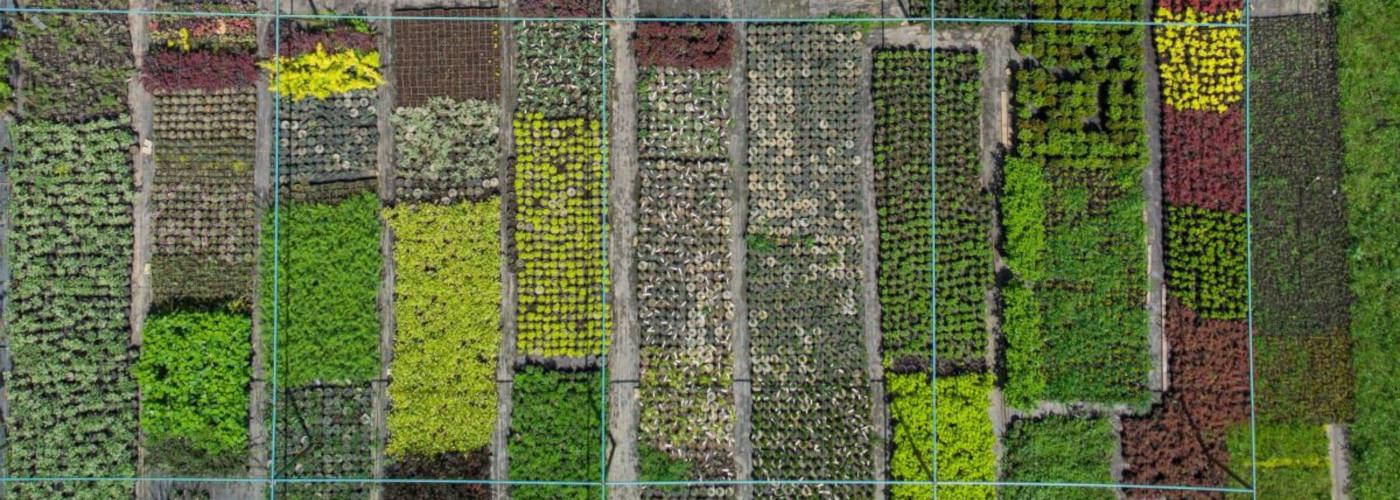 Featured Image for Certified Organic Direct